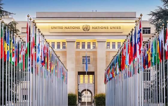 United Nations Organisation