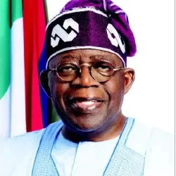 A Big Picture of the Failures of Tinubu